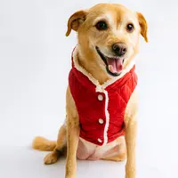 Chaleco Piel de Bisonte XL