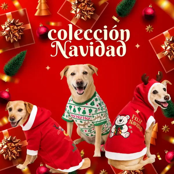 imagen Colección Navidad