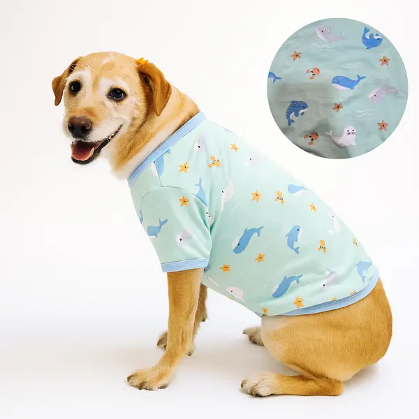 Promo Pack x2 Camisetas