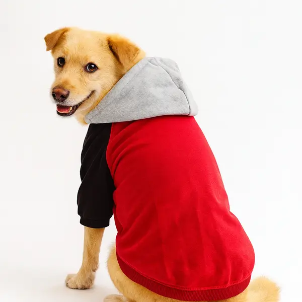 Buzo Perchado con Cremallera S