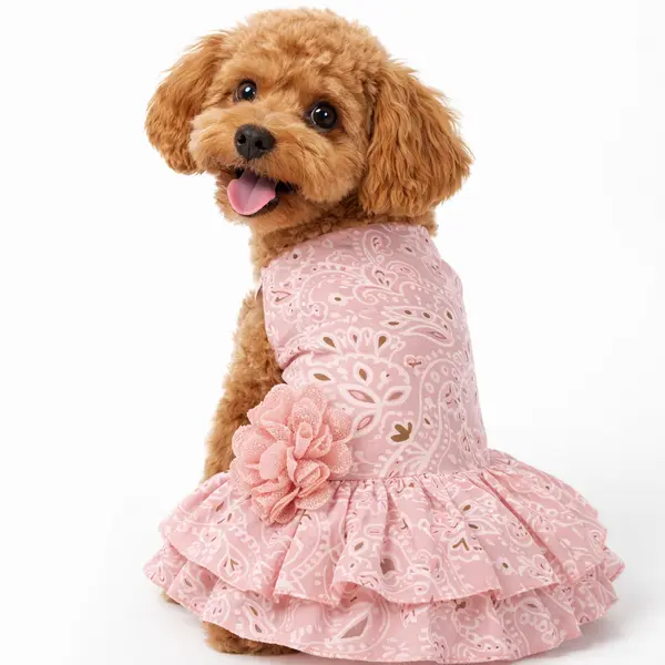 Vestido Dos Boleros XS