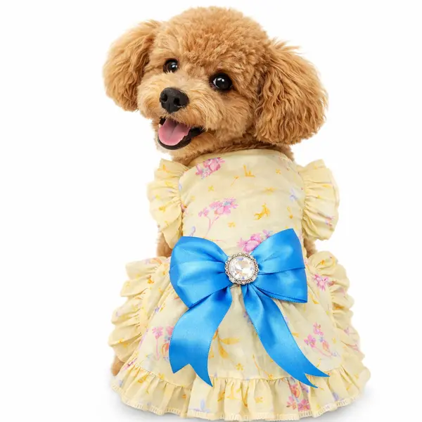 Vestido Surcido XXS