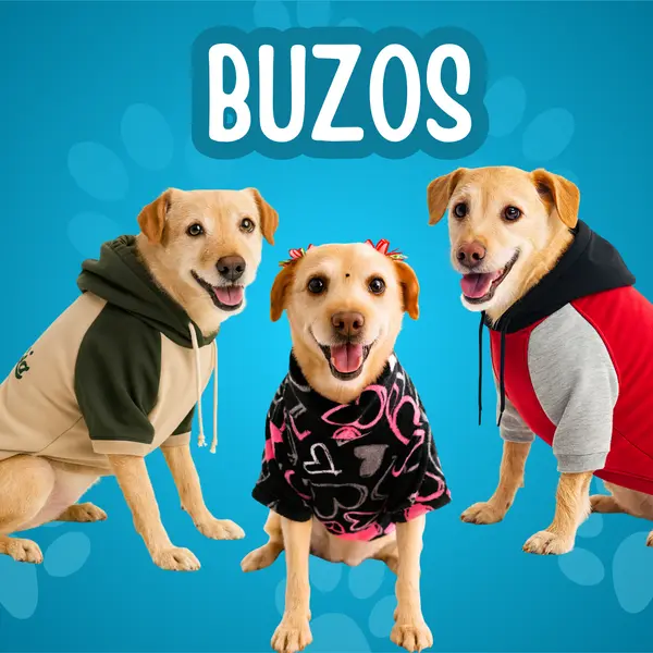 Buzos.